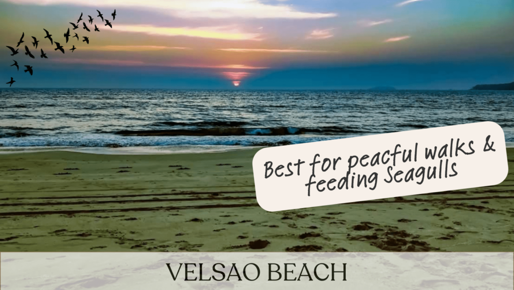 Velsao Beach Panjim