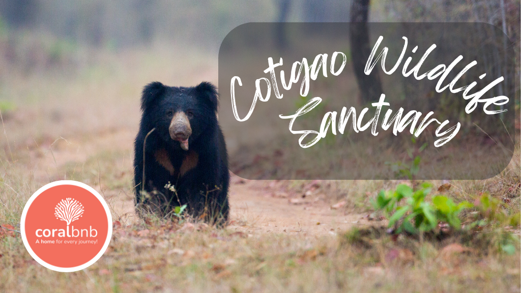 Cotigao Wildlife Sanctuary south goa